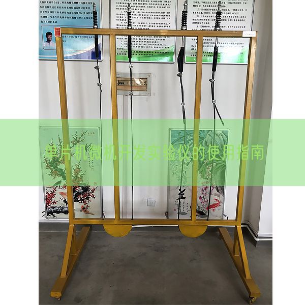 单片机微机开发实验仪的使用指南(图1)